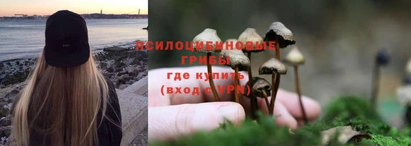 бутират Каменка