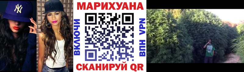 Купить где Дорогобуж Марихуана OG Kush